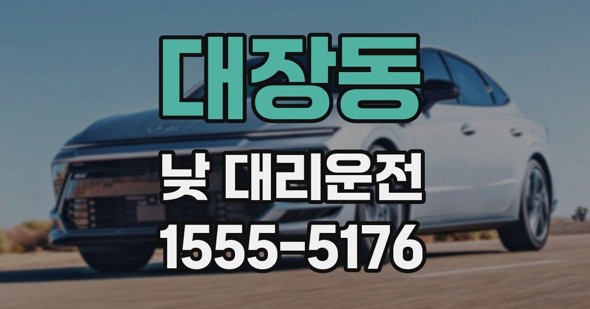 대장동 낮 대리운전