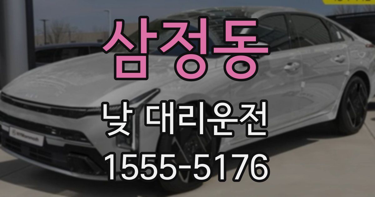 삼정동 낮 대리운전