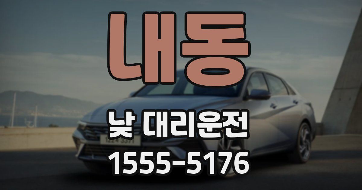 내동 낮 대리운전