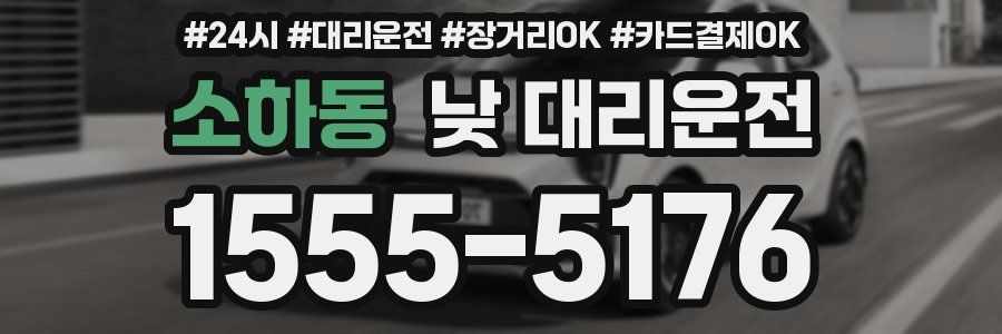소하동 낮 대리운전