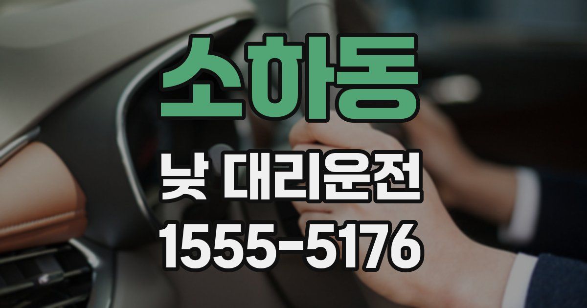 소하동 낮 대리운전