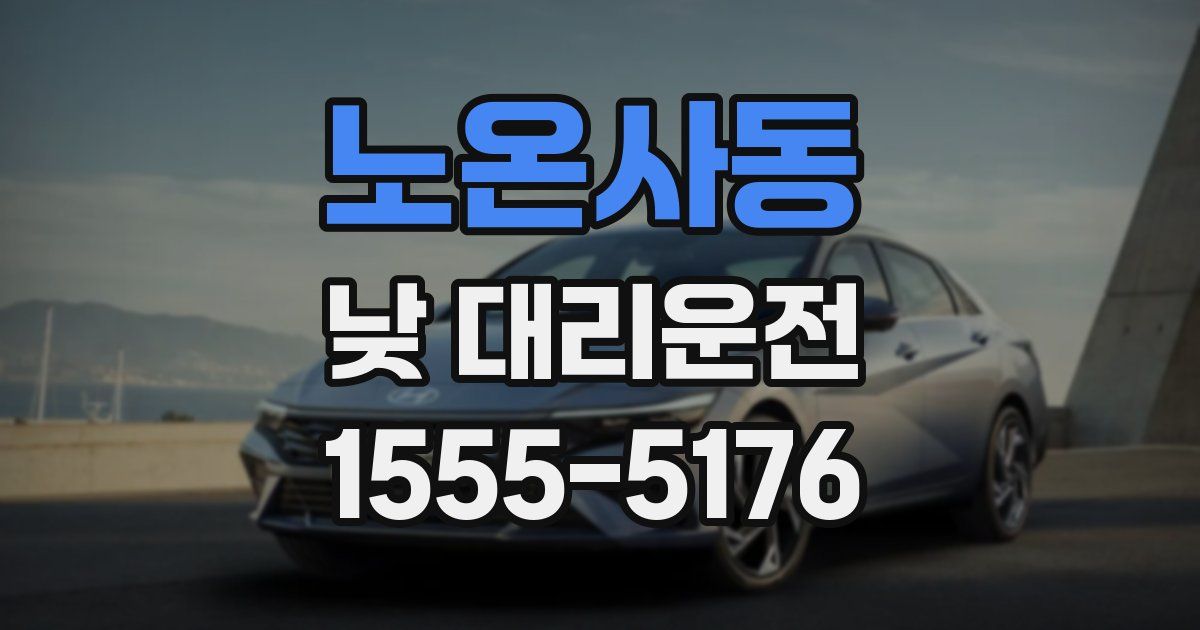 노온사동 낮 대리운전