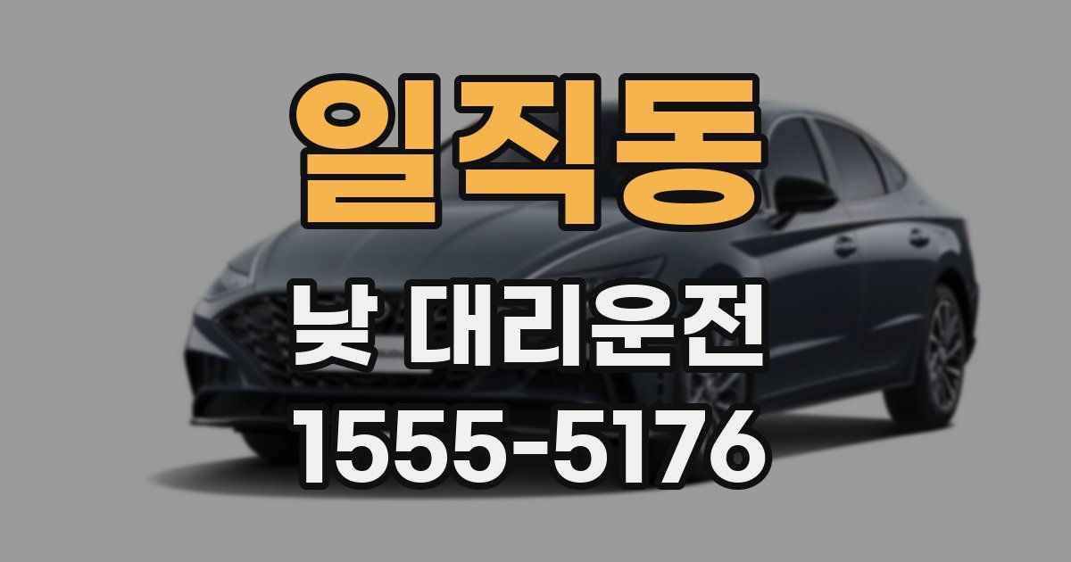 일직동 낮 대리운전
