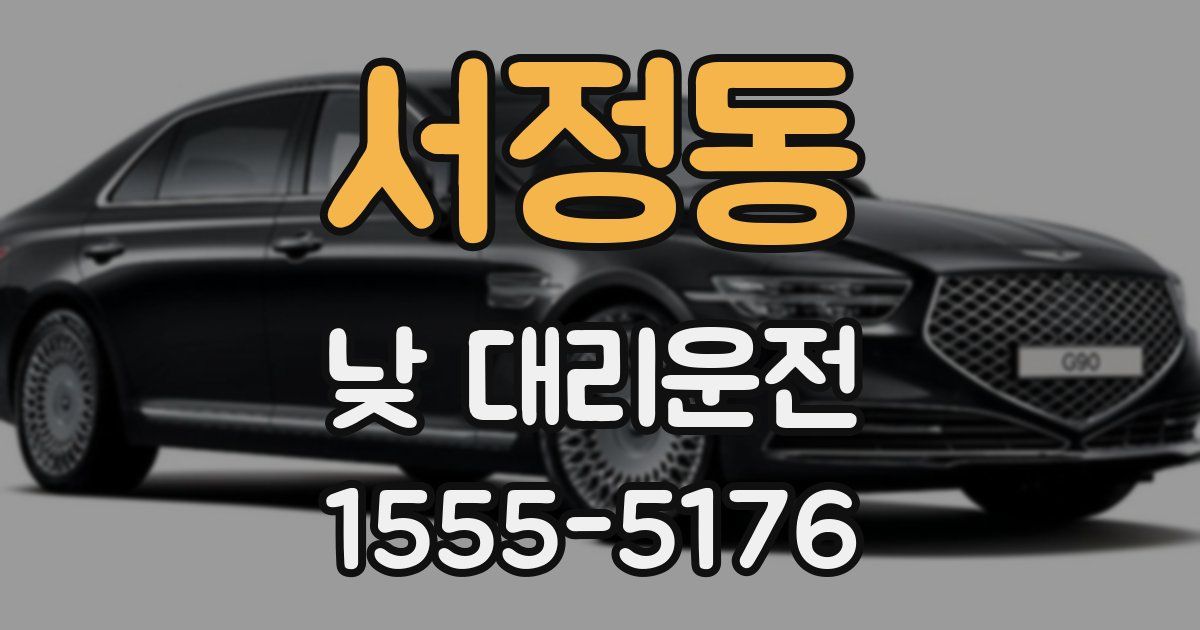 서정동 낮 대리운전