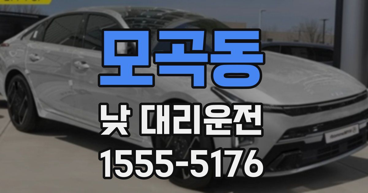 모곡동 낮 대리운전