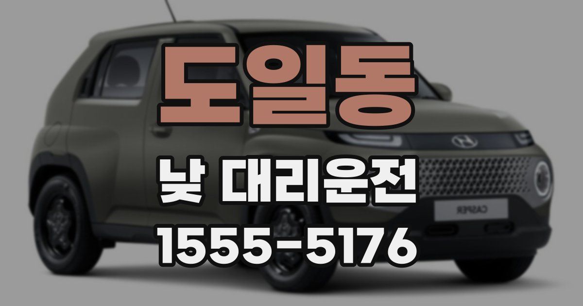 도일동 낮 대리운전