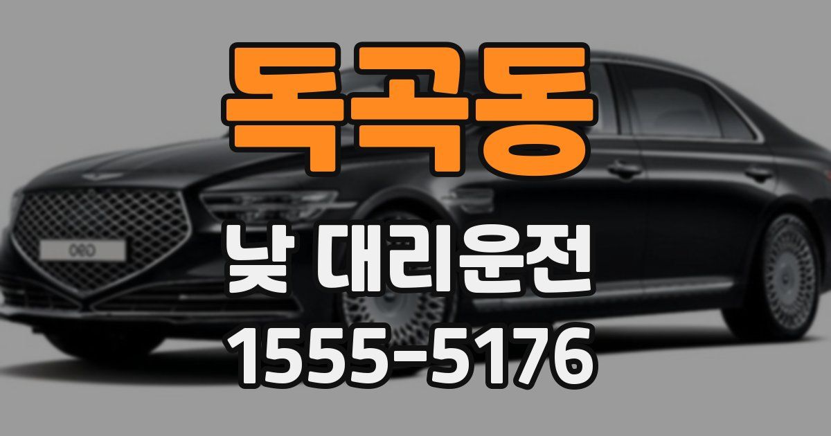 독곡동 낮 대리운전