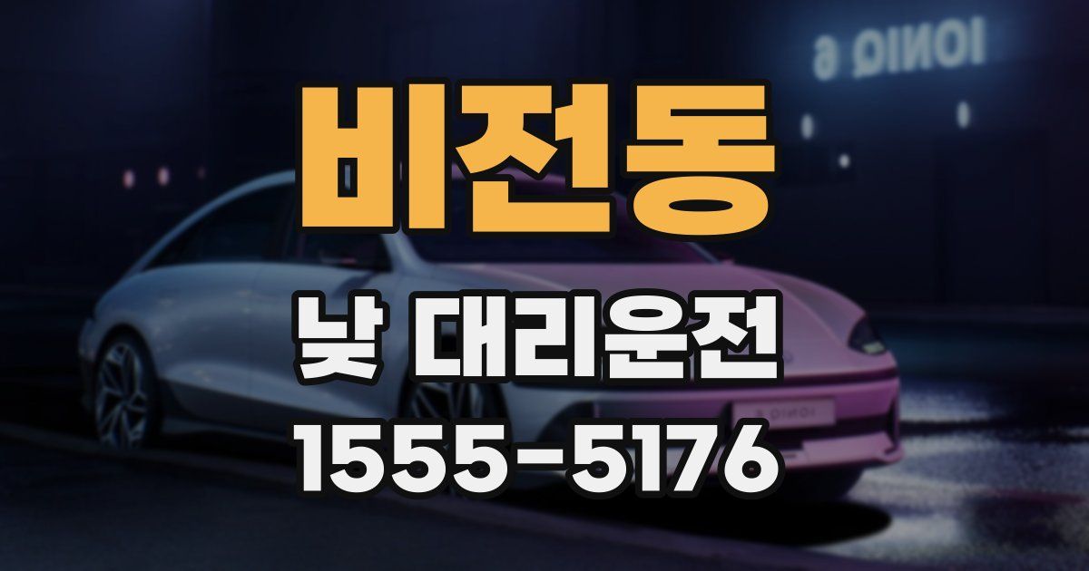 비전동 낮 대리운전