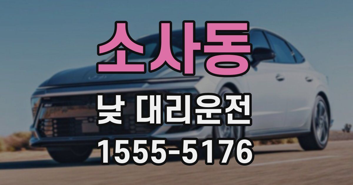 소사동 낮 대리운전