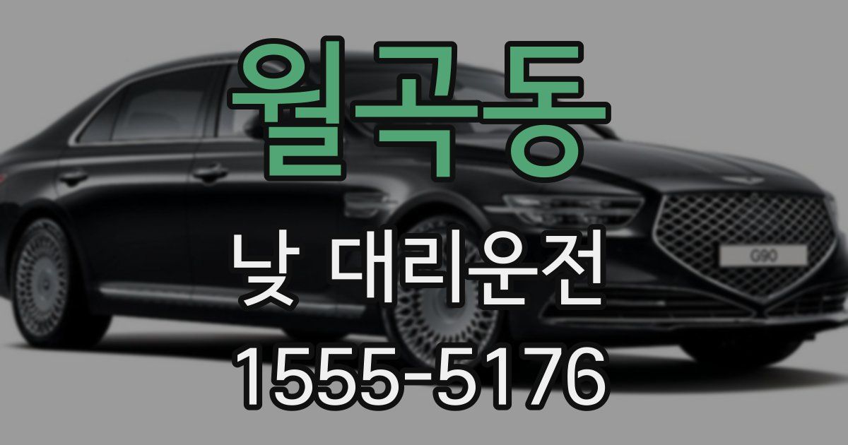 월곡동 낮 대리운전