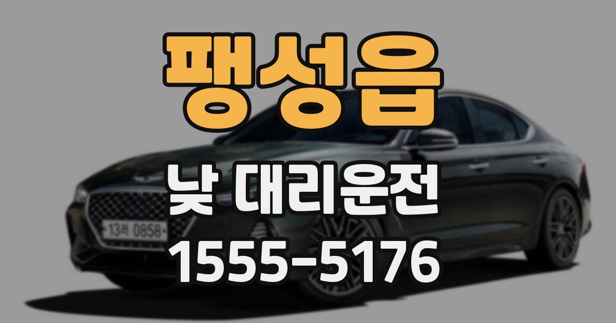 팽성읍 낮 대리운전