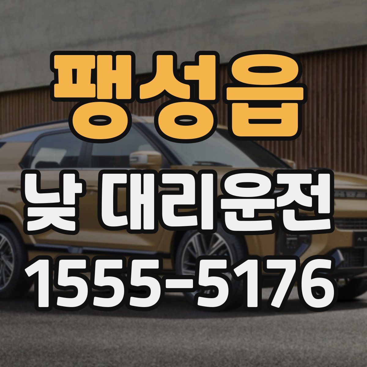 팽성읍 낮 대리운전