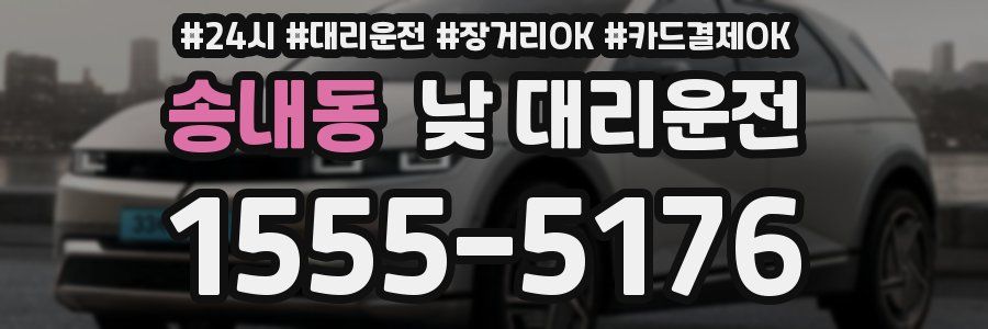 송내동 낮 대리운전