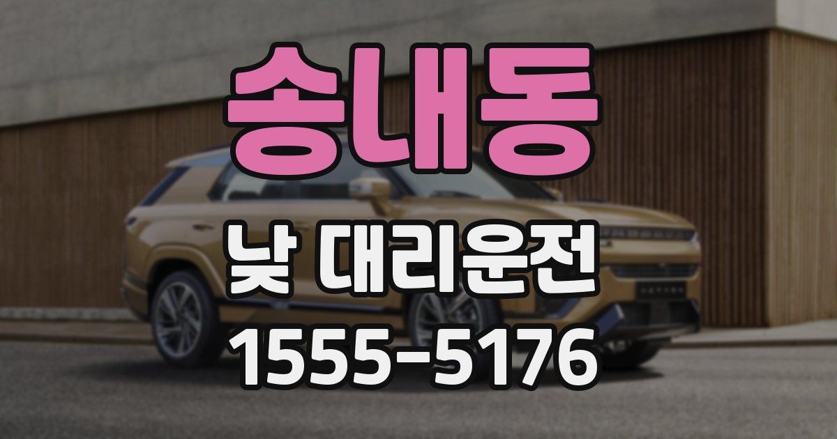 송내동 낮 대리운전