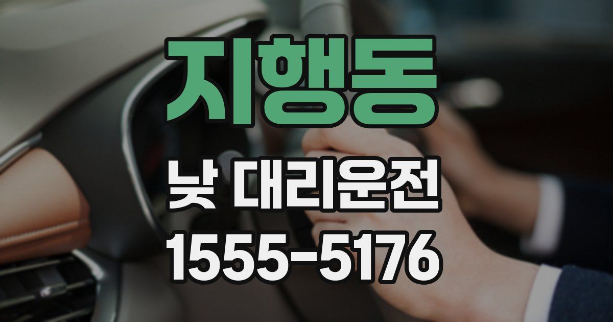 지행동 낮 대리운전