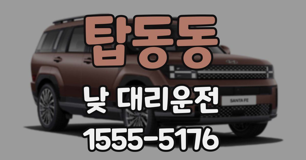탑동동 낮 대리운전