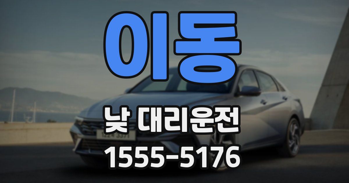 이동 낮 대리운전