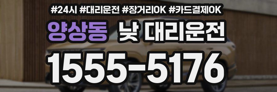양상동 낮 대리운전