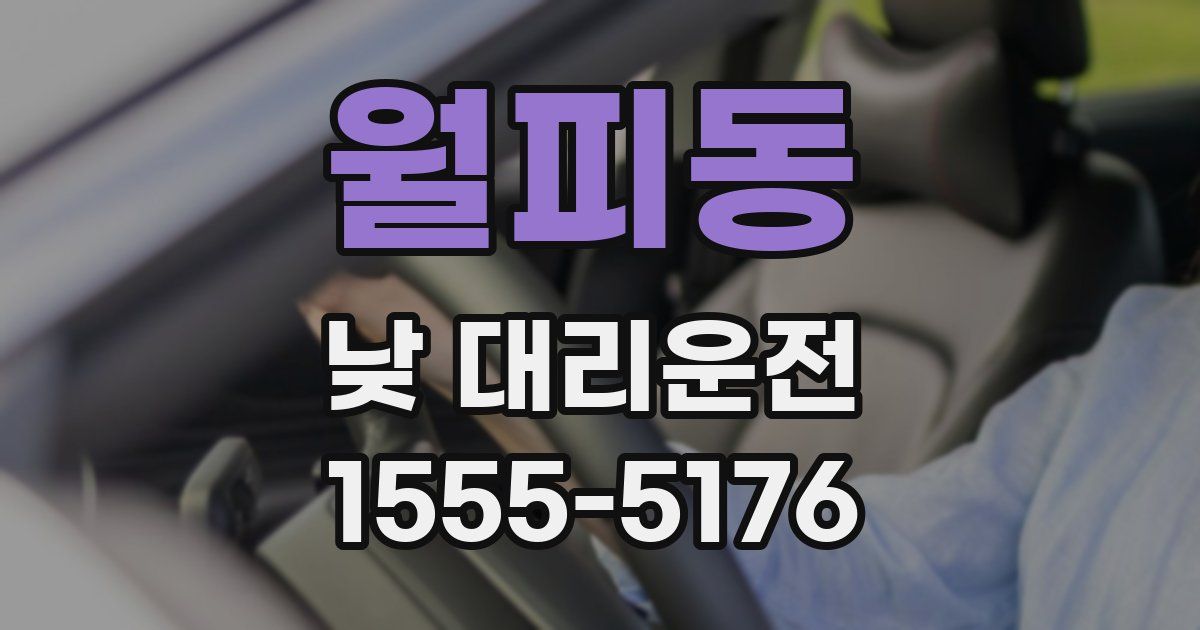 월피동 낮 대리운전