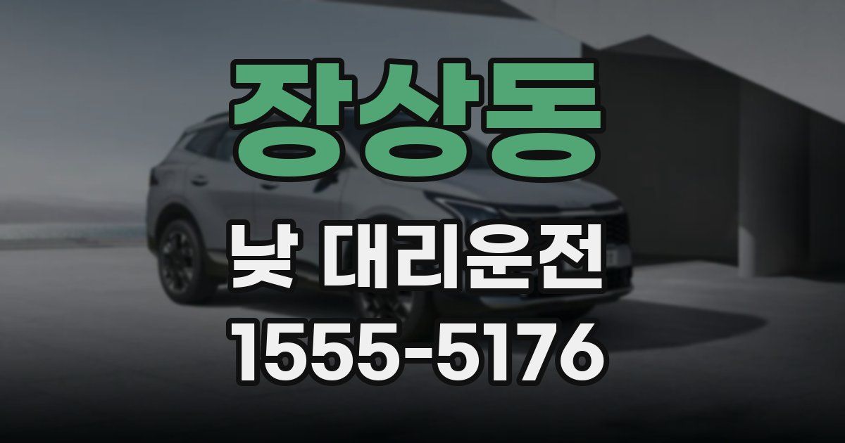 장상동 낮 대리운전