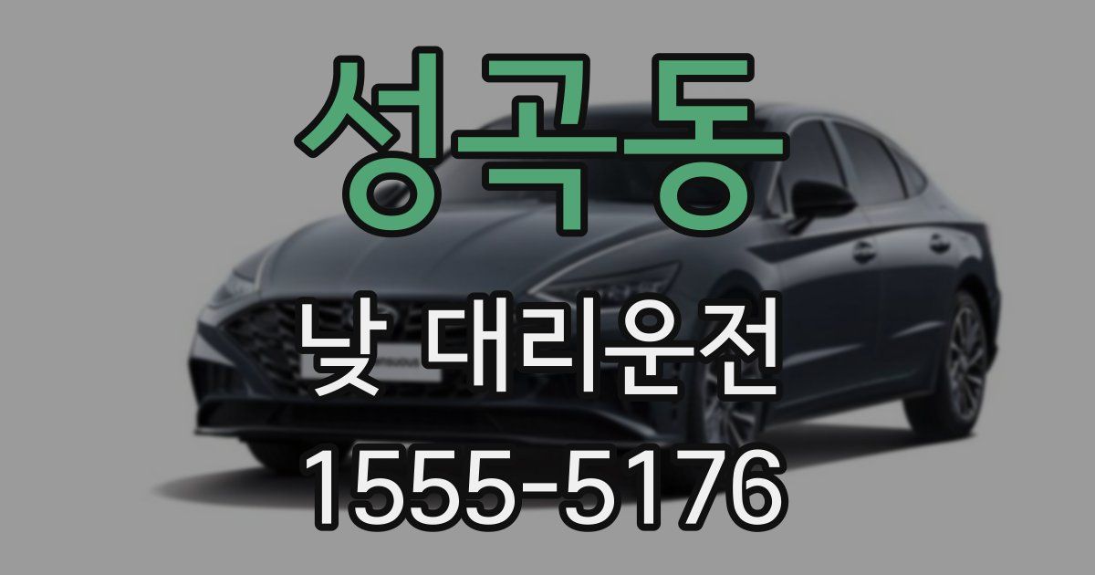 성곡동 낮 대리운전
