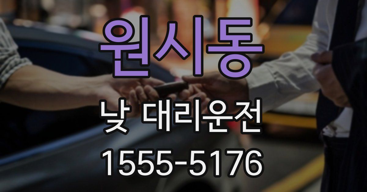 원시동 낮 대리운전