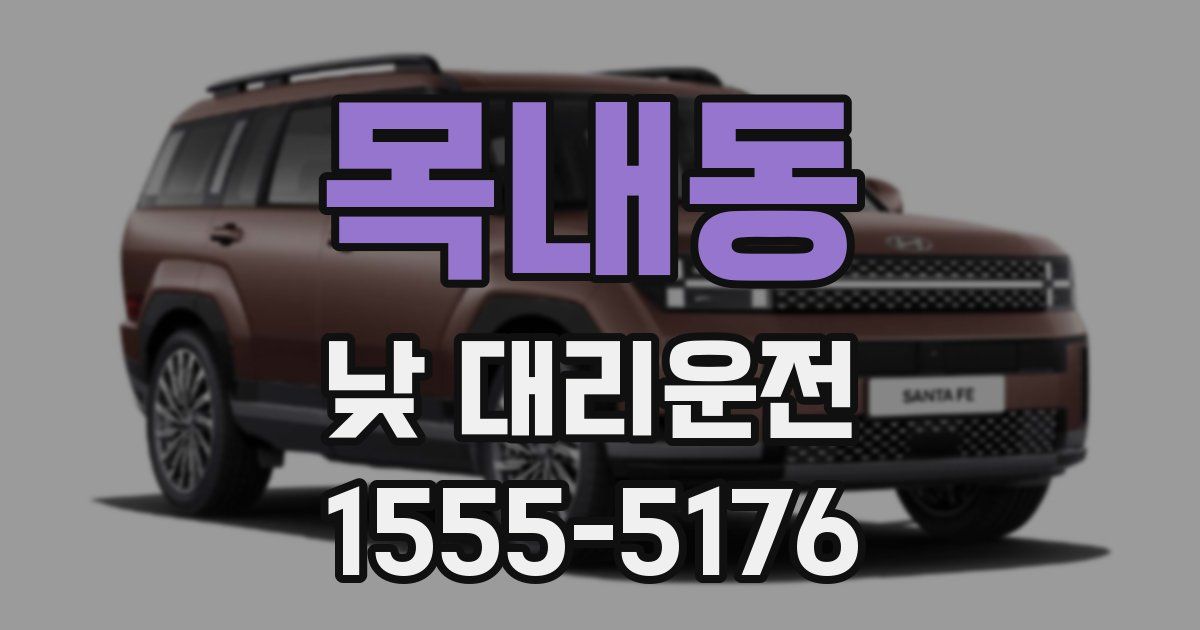 목내동 낮 대리운전