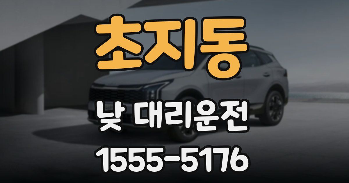 초지동 낮 대리운전