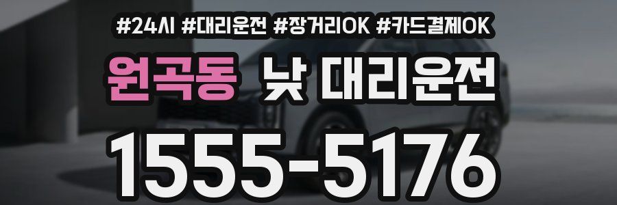 원곡동 낮 대리운전
