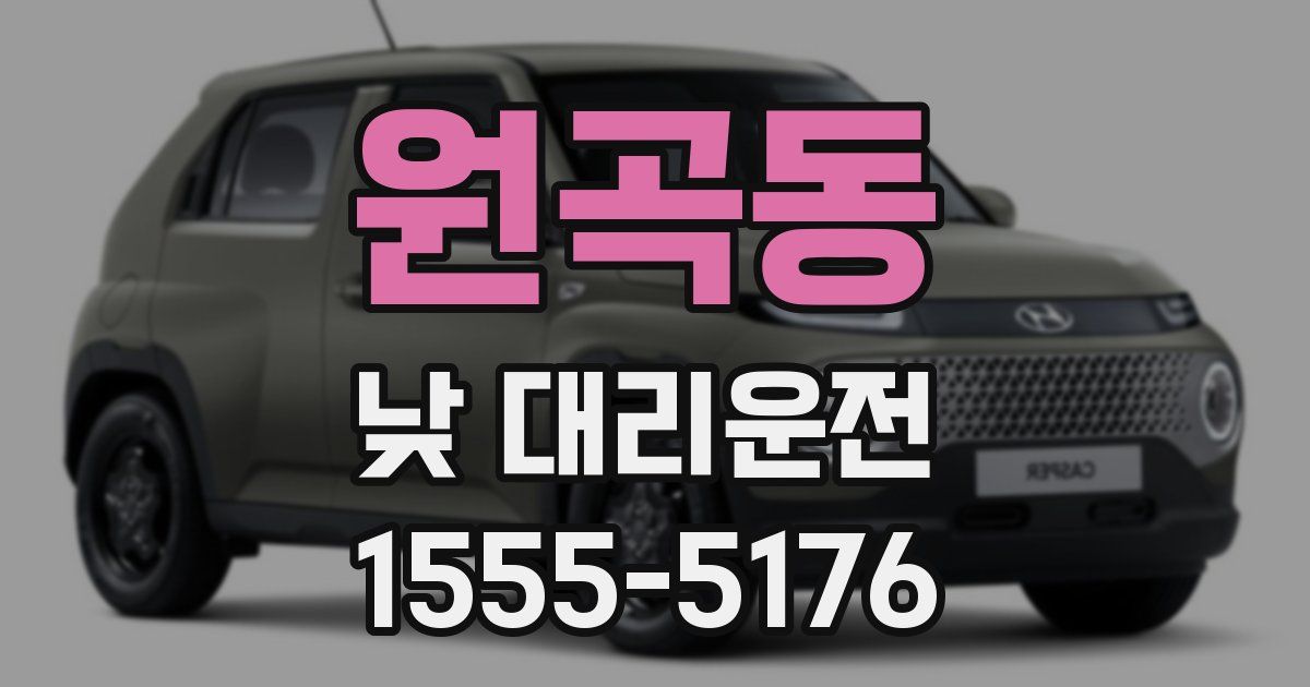 원곡동 낮 대리운전