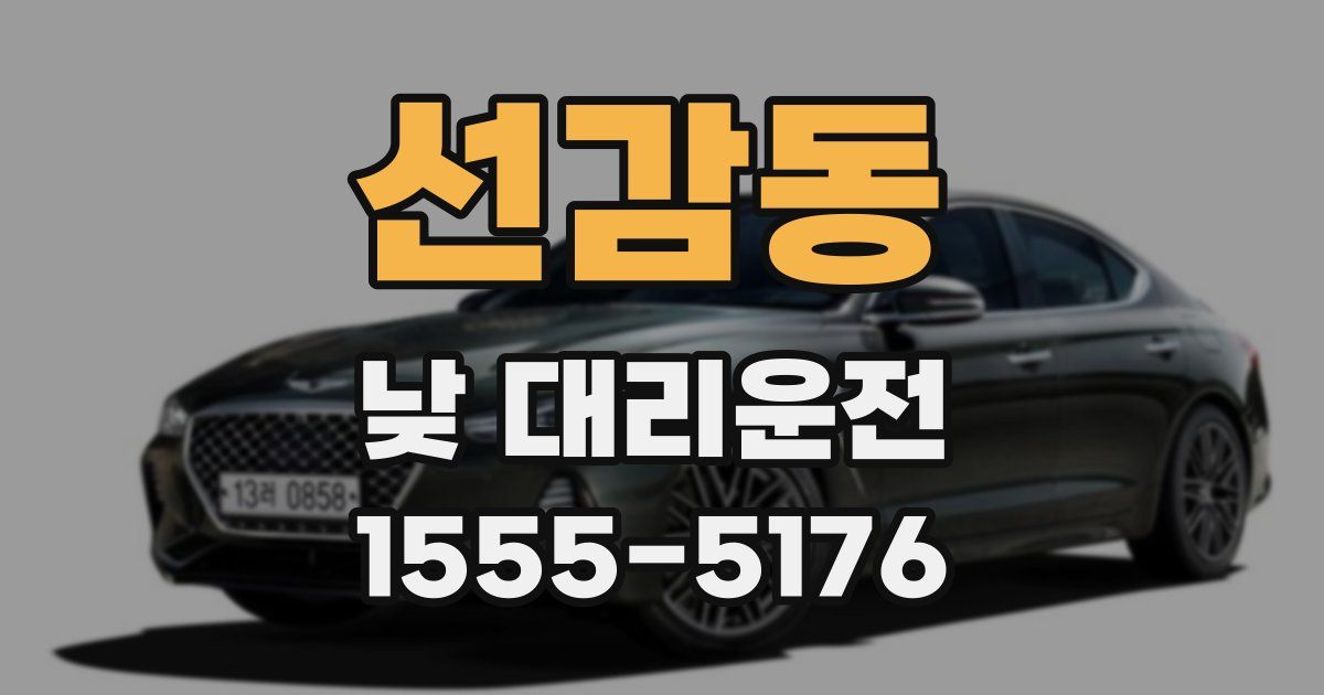 선감동 낮 대리운전