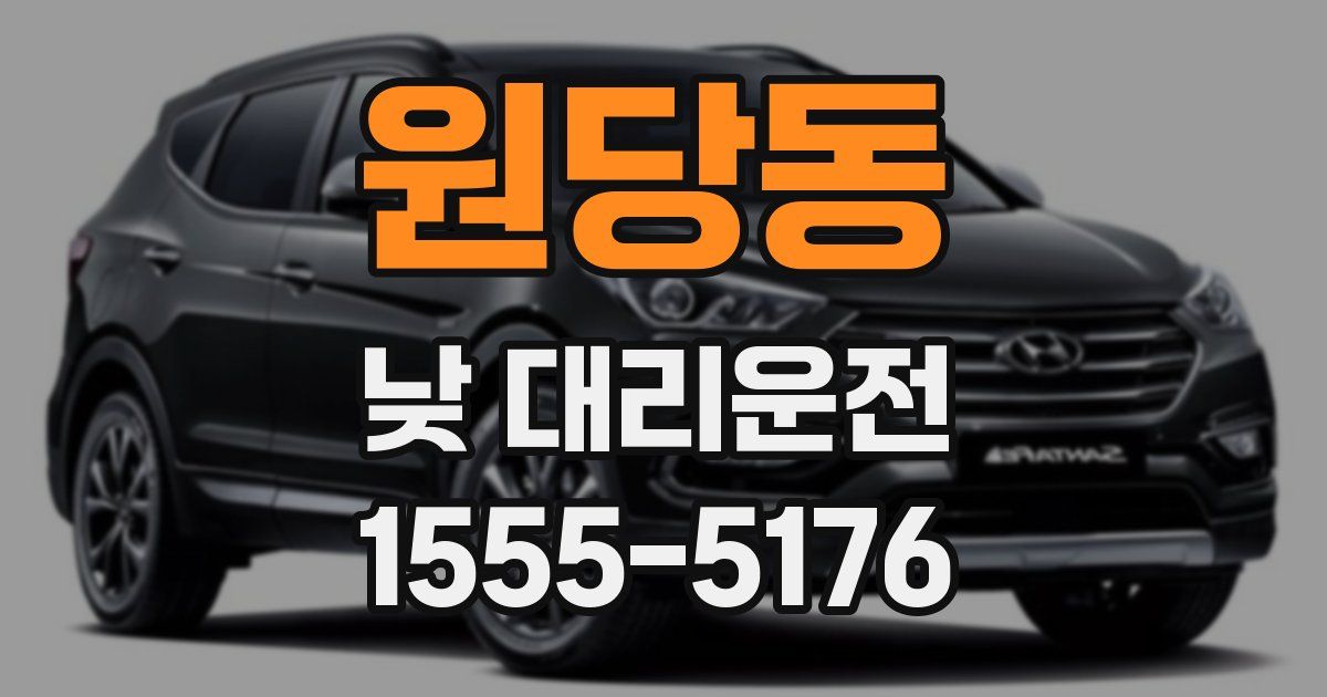 원당동 낮 대리운전