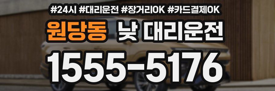 원당동 낮 대리운전