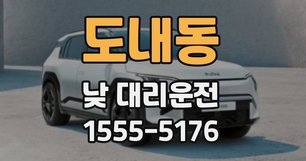 도내동 낮 대리운전