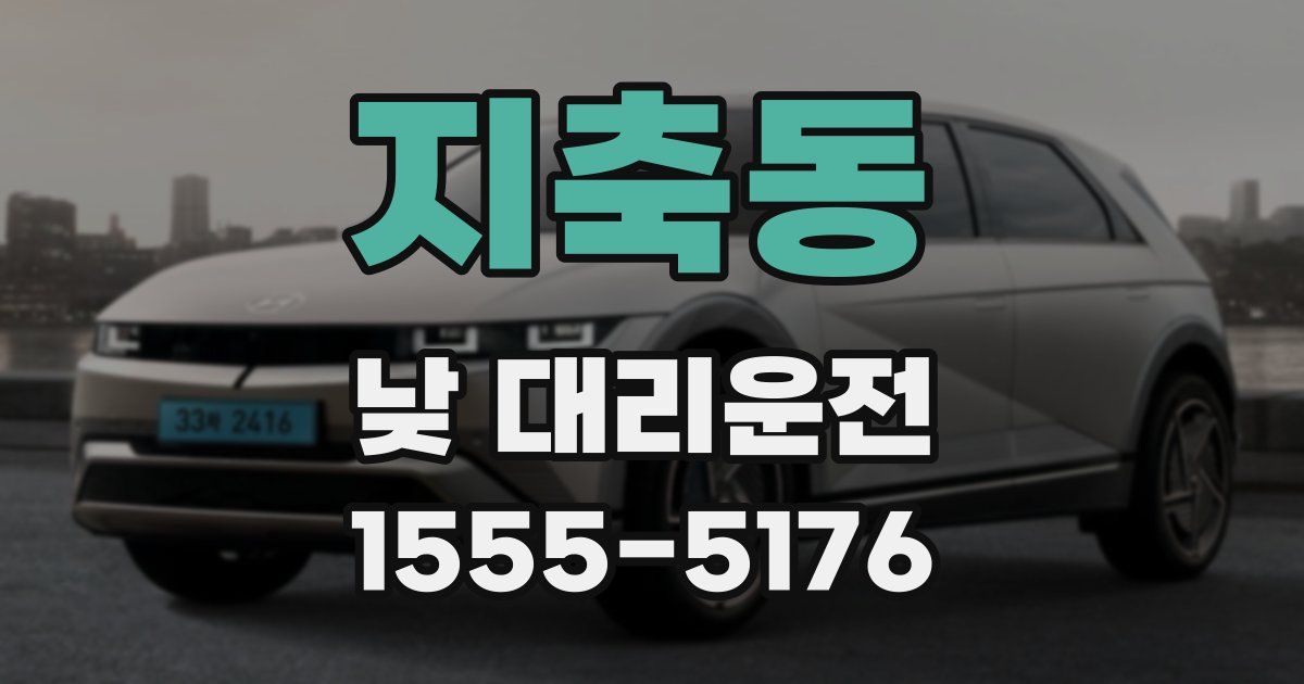 지축동 낮 대리운전