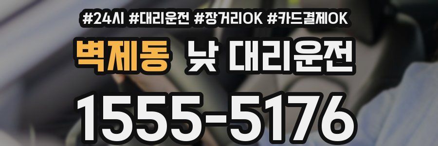 벽제동 낮 대리운전