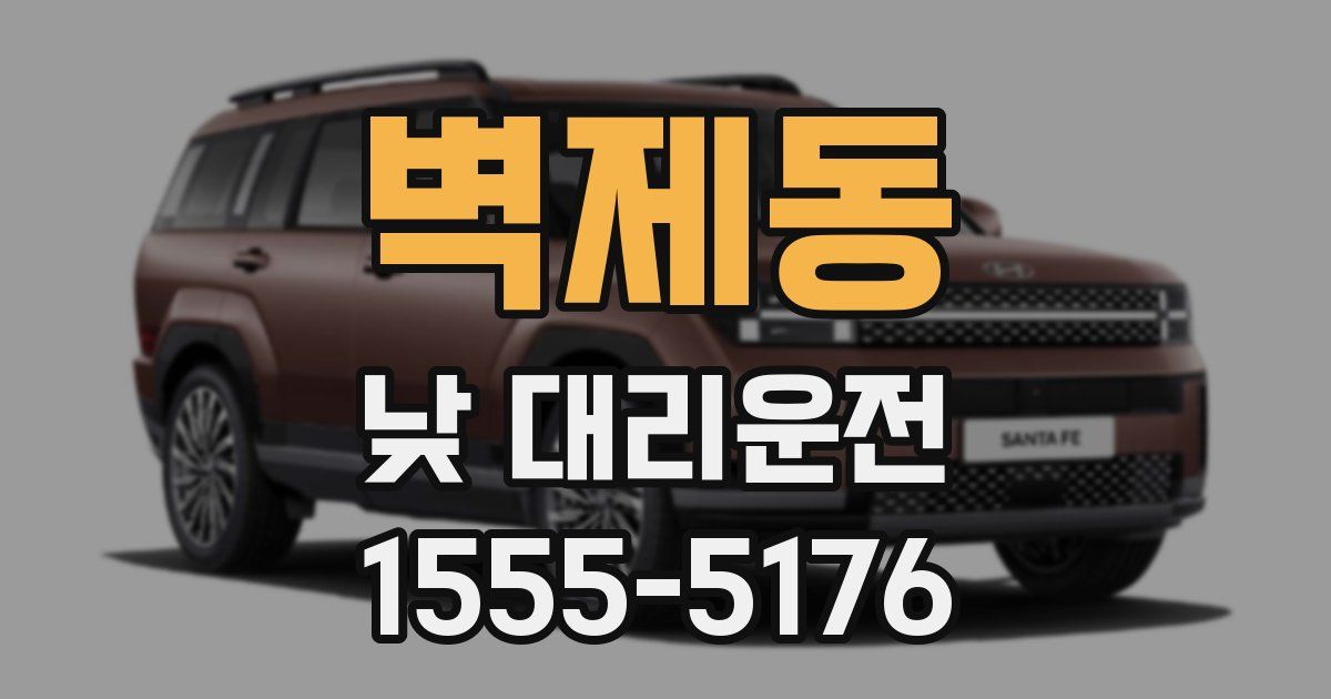벽제동 낮 대리운전
