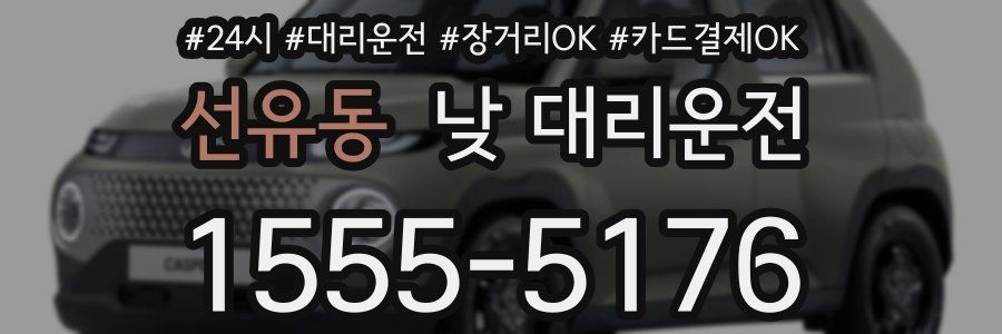 선유동 낮 대리운전
