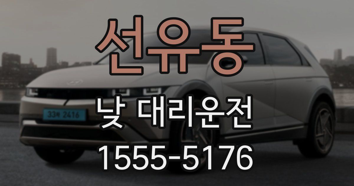 선유동 낮 대리운전