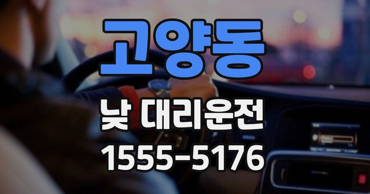 고양동 낮 대리운전
