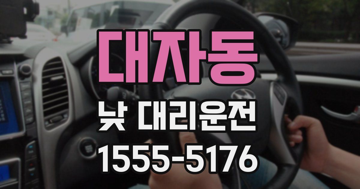 대자동 낮 대리운전