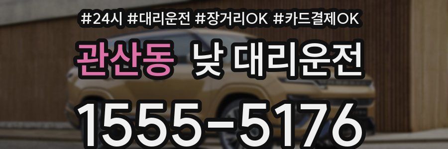 관산동 낮 대리운전