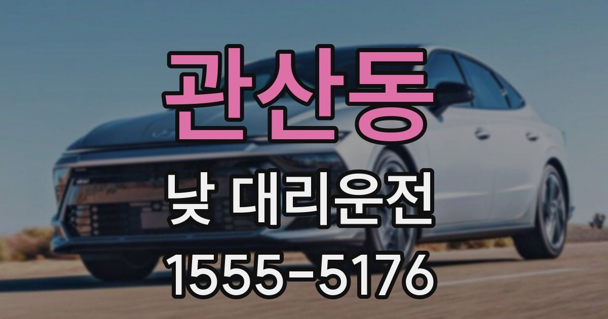 관산동 낮 대리운전