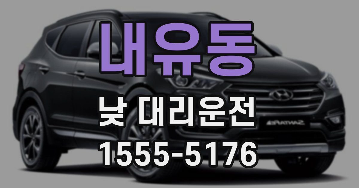 내유동 낮 대리운전