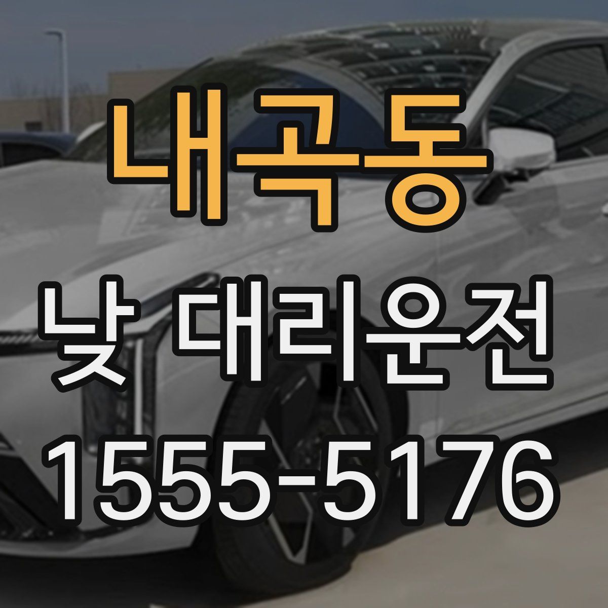 내곡동 낮 대리운전