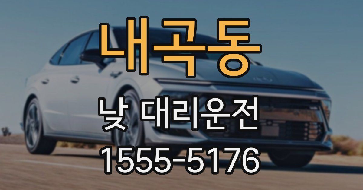 내곡동 낮 대리운전