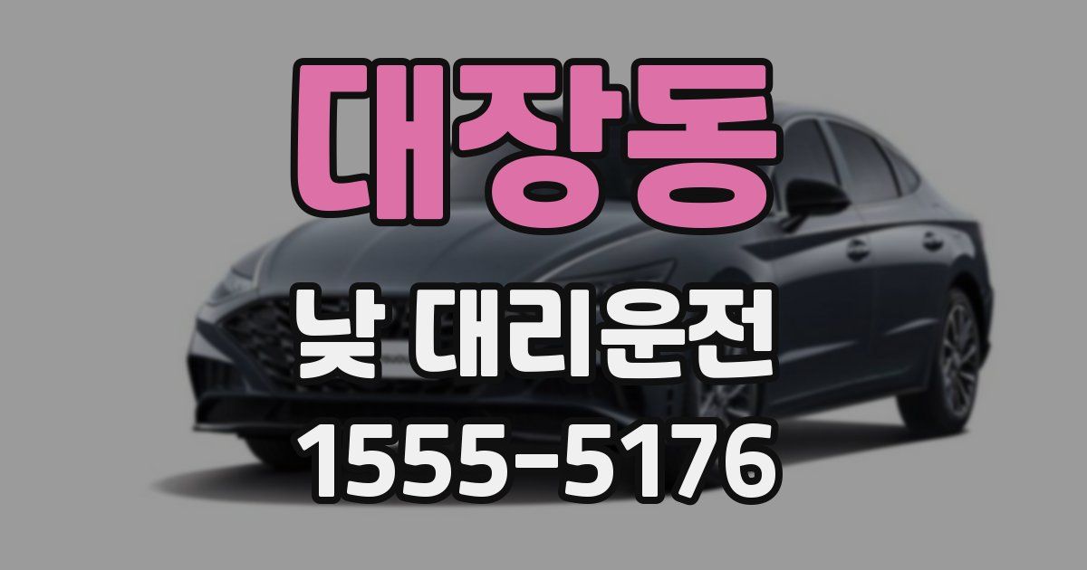 대장동 낮 대리운전