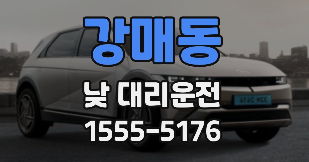 강매동 낮 대리운전