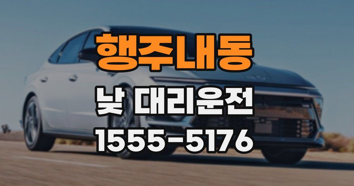 행주내동 낮 대리운전
