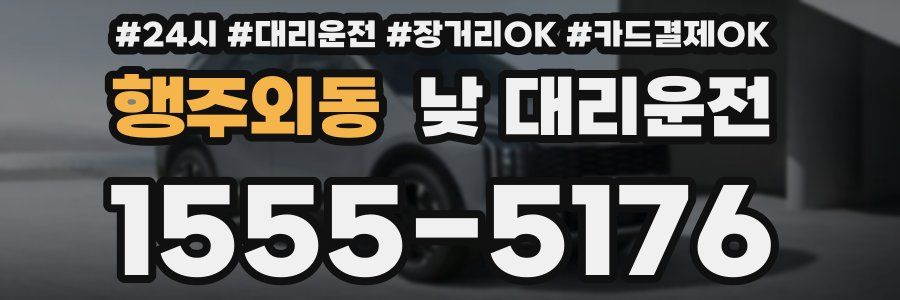 행주외동 낮 대리운전